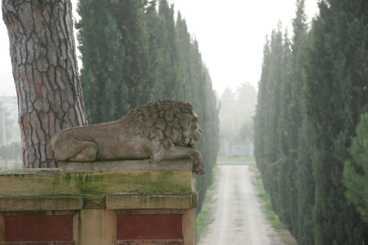 Villa Guadagni Cappelli Arezzo Exteriör bild